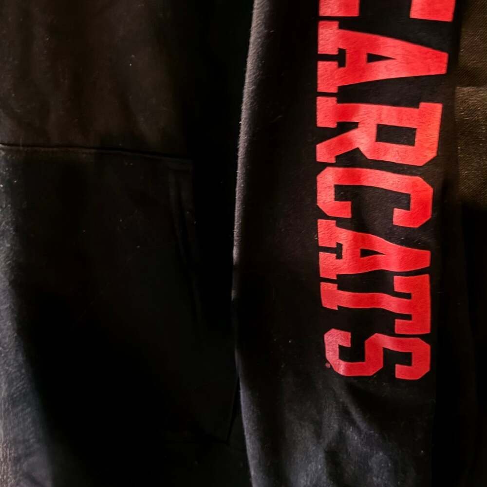 Cincinnati Bearcats Hoodie Black Pullover Long Sleeve Champion size large - Picture 2 of 4